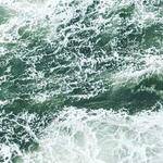 Audra Erdman Profile Picture